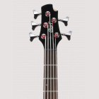Cort Action Bass V WS 5-ти струнная бас-гитара