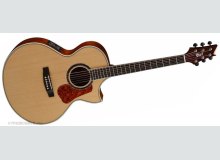 Фото CORT NDX50 NAT