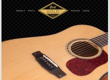 Фото Акустические гитары Cort Gold