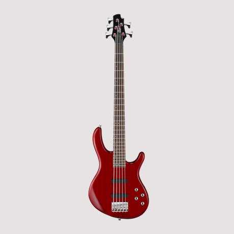 Cort Action Bass V Plus TR бас-гитара 5 струн