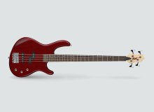 Фото Бас гитары Action PJ и Action Bass Plus