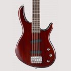 Cort Action Bass V WS 5-ти струнная бас-гитара