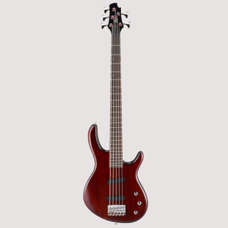 Cort Action Bass V WS 5-ти струнная бас-гитара