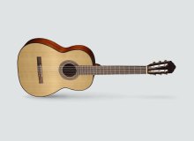 Фото CORT AC100