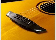 Фото Cort Frank Gambale Luxe