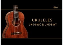 Фото Cort Ukulele