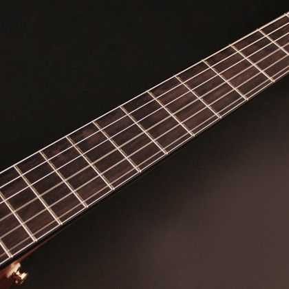 Cort gold nylon discount